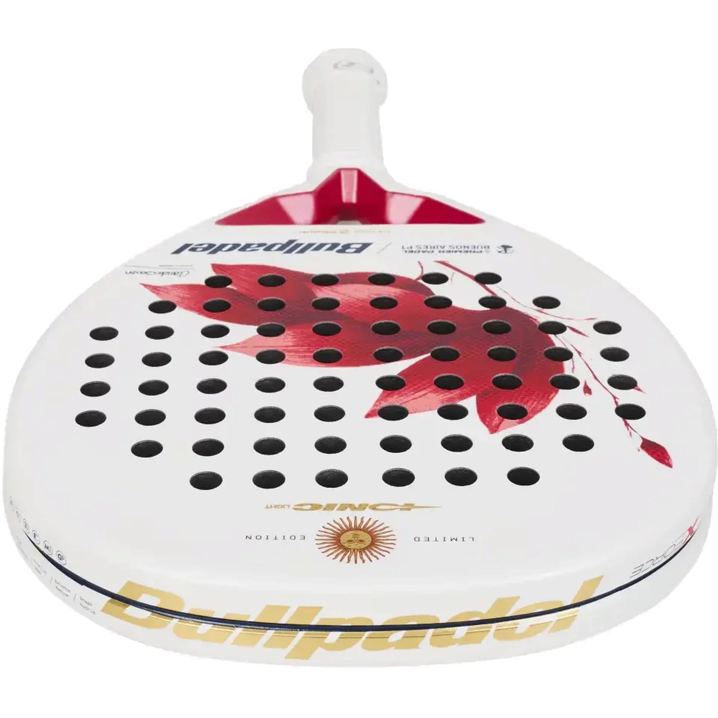 Bullpadel Ionic Light Argentina LTD 26 Padel racket, low-angle face and frame detail